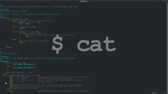 An image showing a Linux terminal with the command overlay cat command