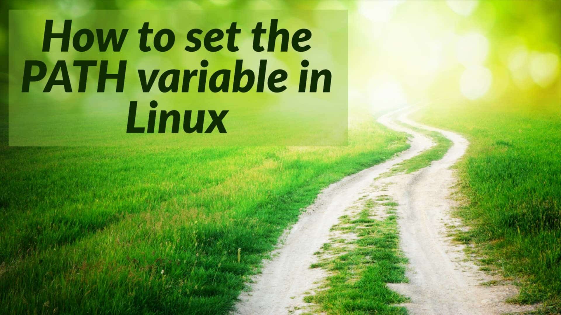 How To Set The PATH Variable In Linux Putorius