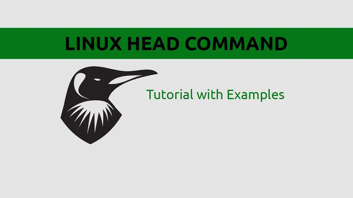 Linux head Command - Print First X Lines from File Putorius