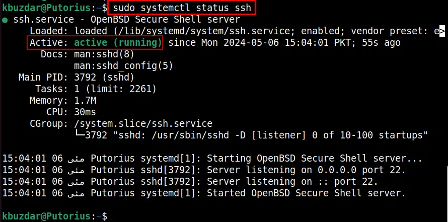 systemctl ssh status linux